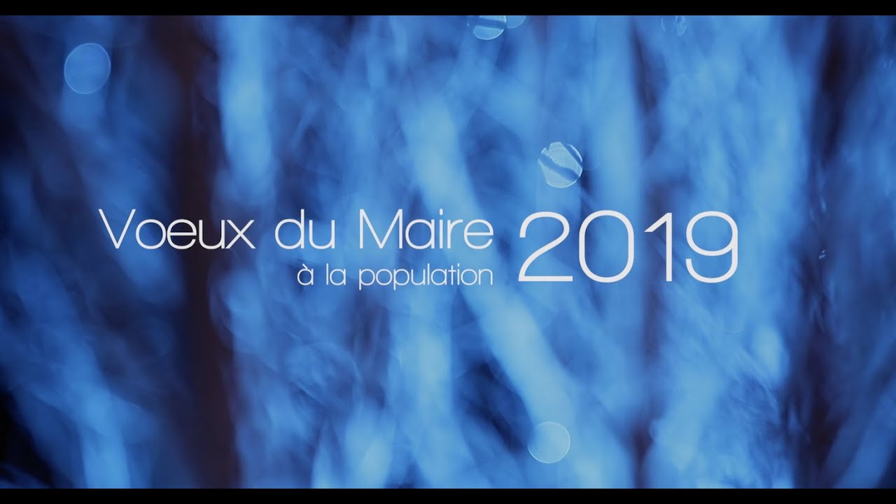 Voeux du Maire de Cusset 2019