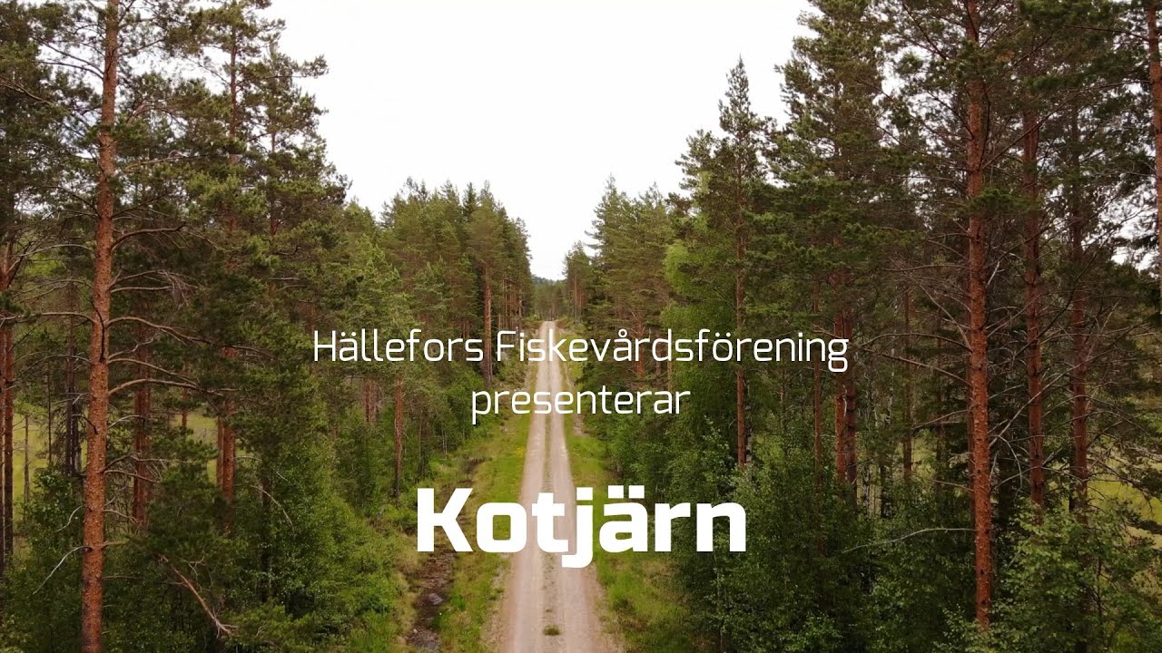 Kotjärn