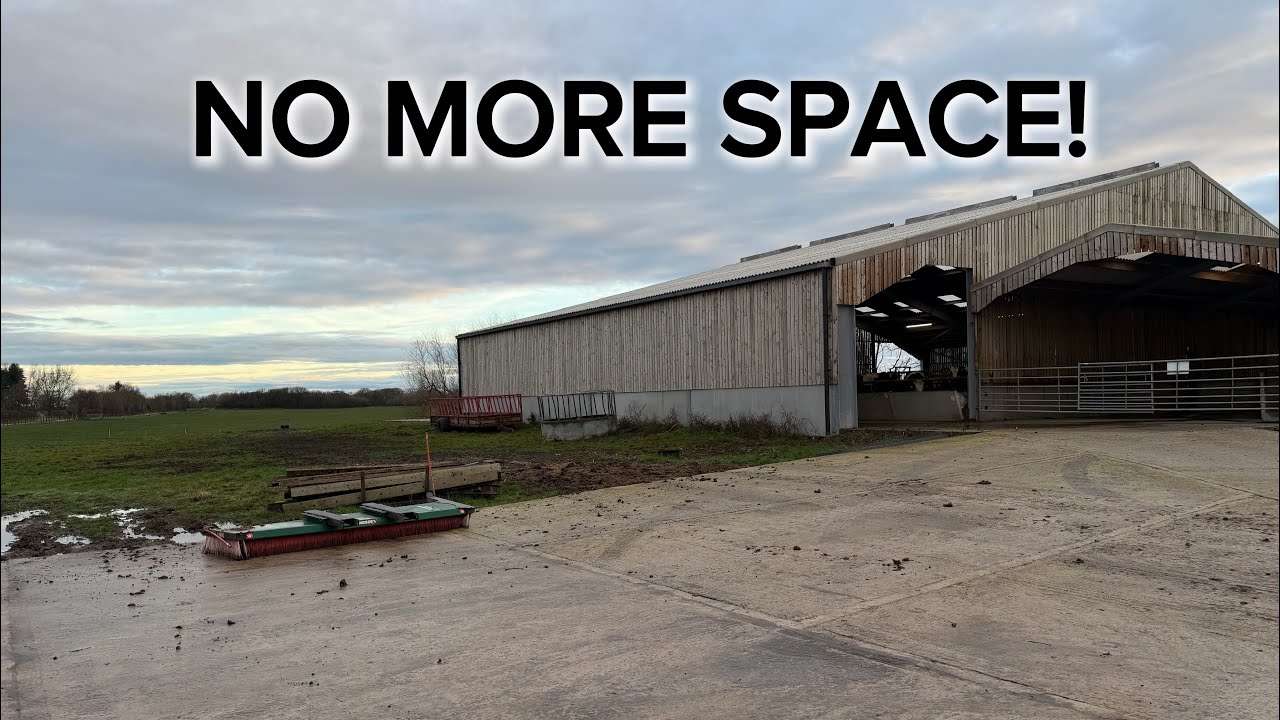 THE BIGGEST PROBLEM ON THE FARM! Where do we put all our silage 