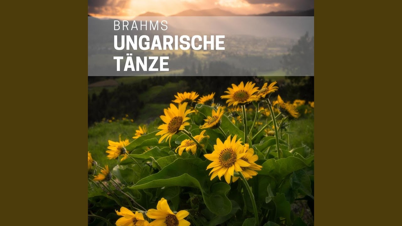 21 Hungarian Dances, WoO 1: No. 14 in D Minor. Un poco andante