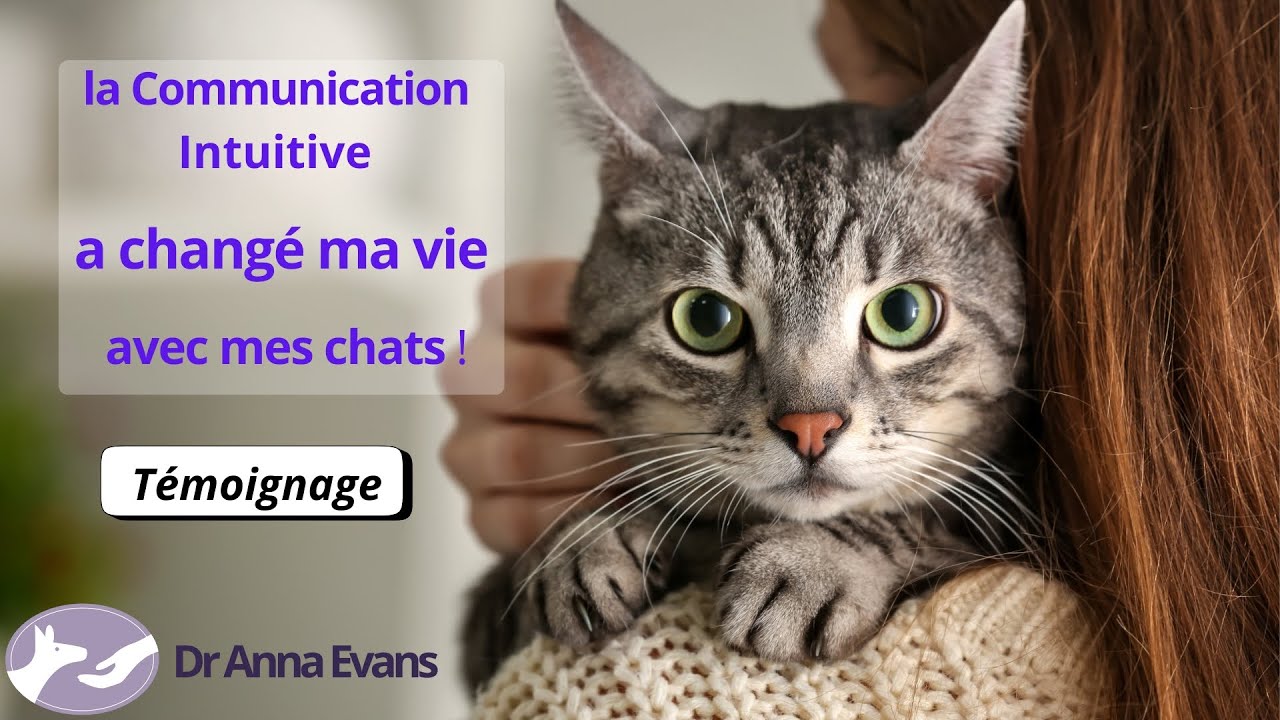 La Communication Intuitive a changé ma vie avec mes animaux - témoignage