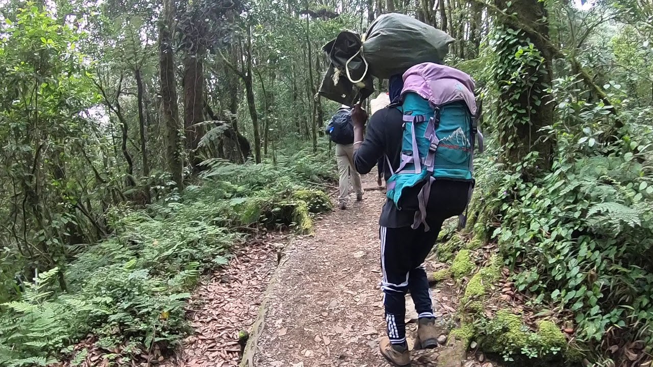 Kilimanjaro - Machame Gate to Machame Camp