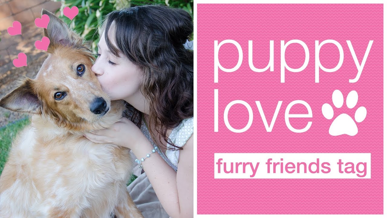 PUPPY LOVE ❤ - Furry Friends Tag!