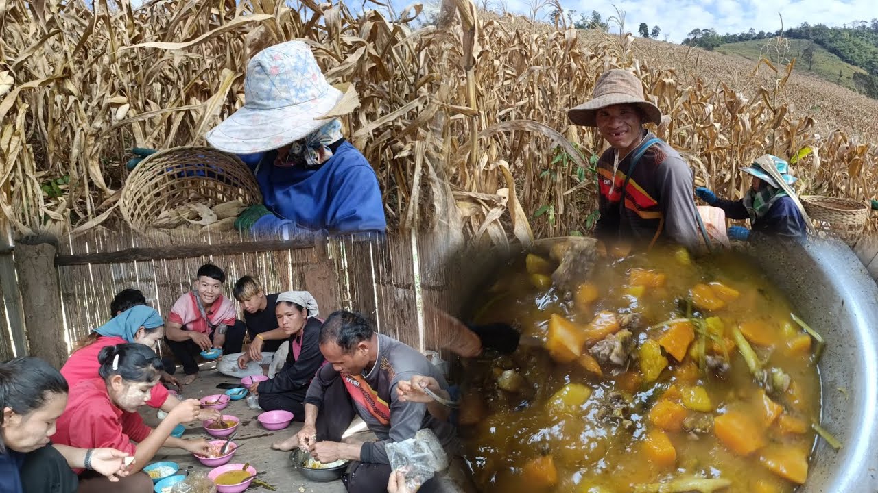 In the Karen way of life, relatives help each other harvest corn and cook meals together.