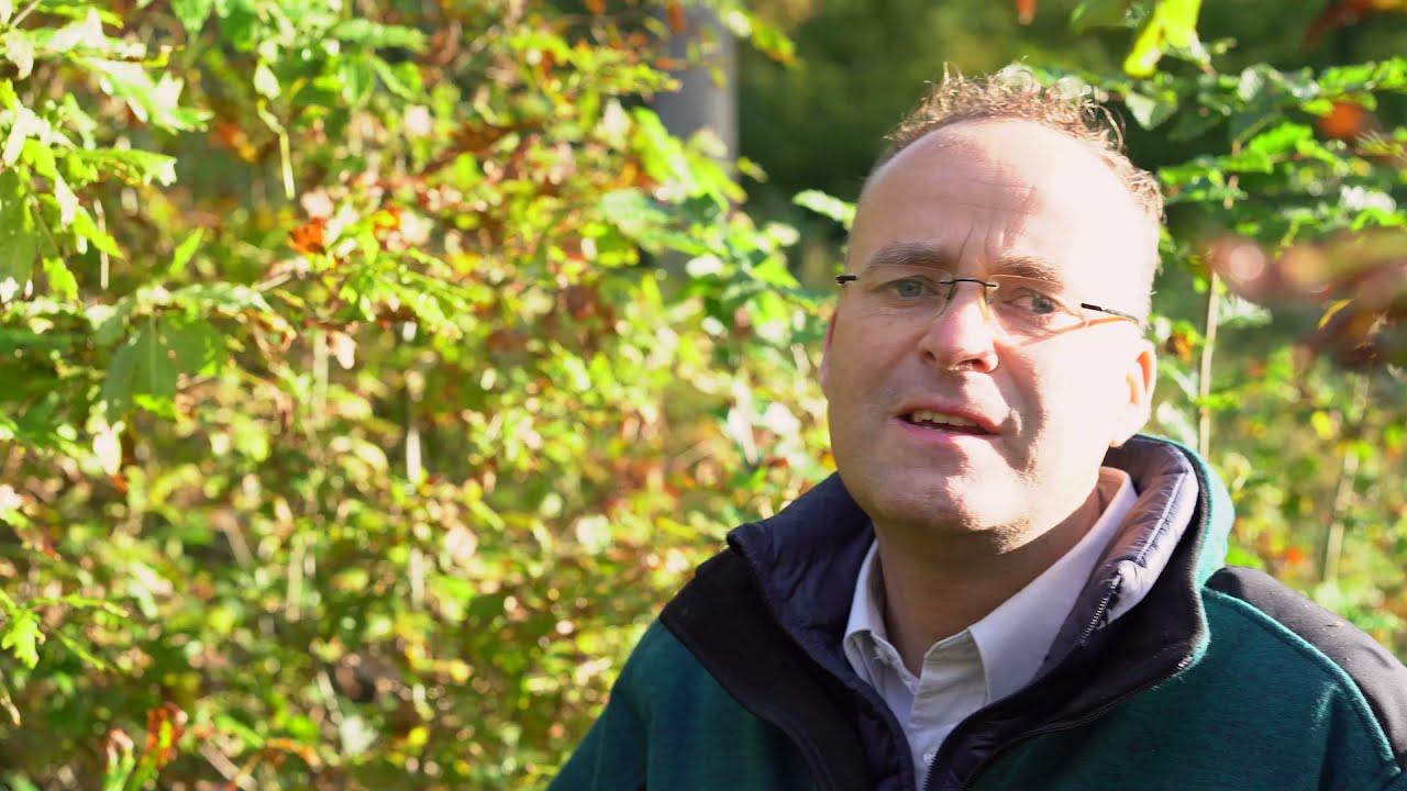 Das Blatt wenden: Natura 2000 im Wald