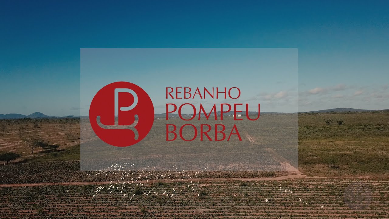 Rebanho Pompeu Borba