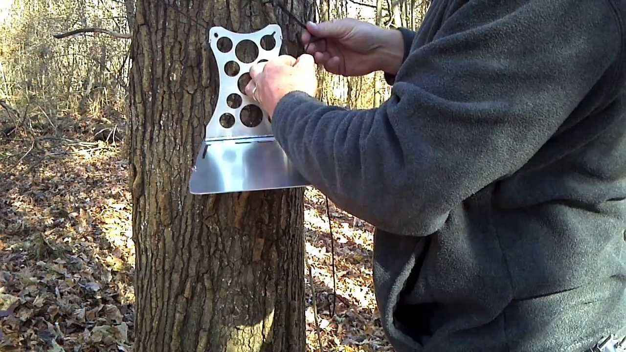 The new Tree Shelf -AL