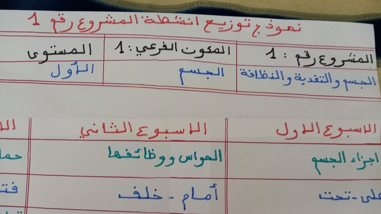 نموذج من توزيع انشطة مشروع