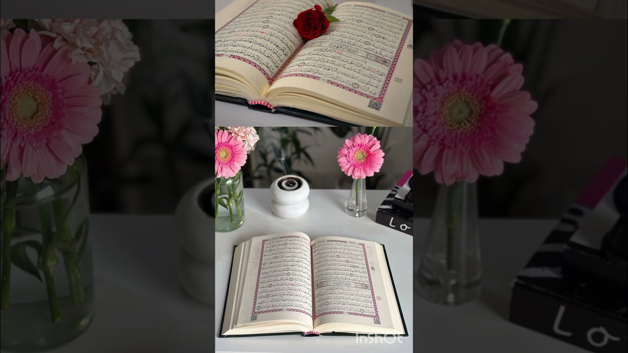 سورت نوح پښتو ترجمه ❤️❤️❤️❤️❤️