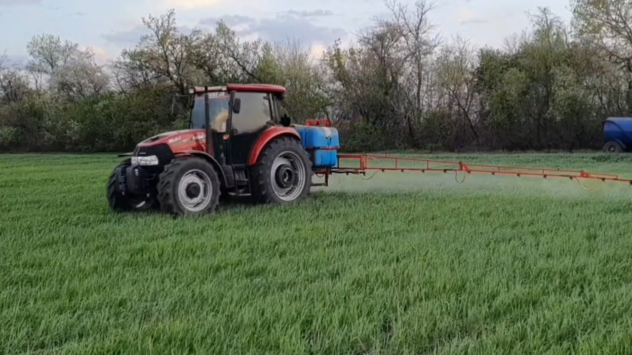 Оприскування пшенички  від сорняків та підживлення мікродобривами