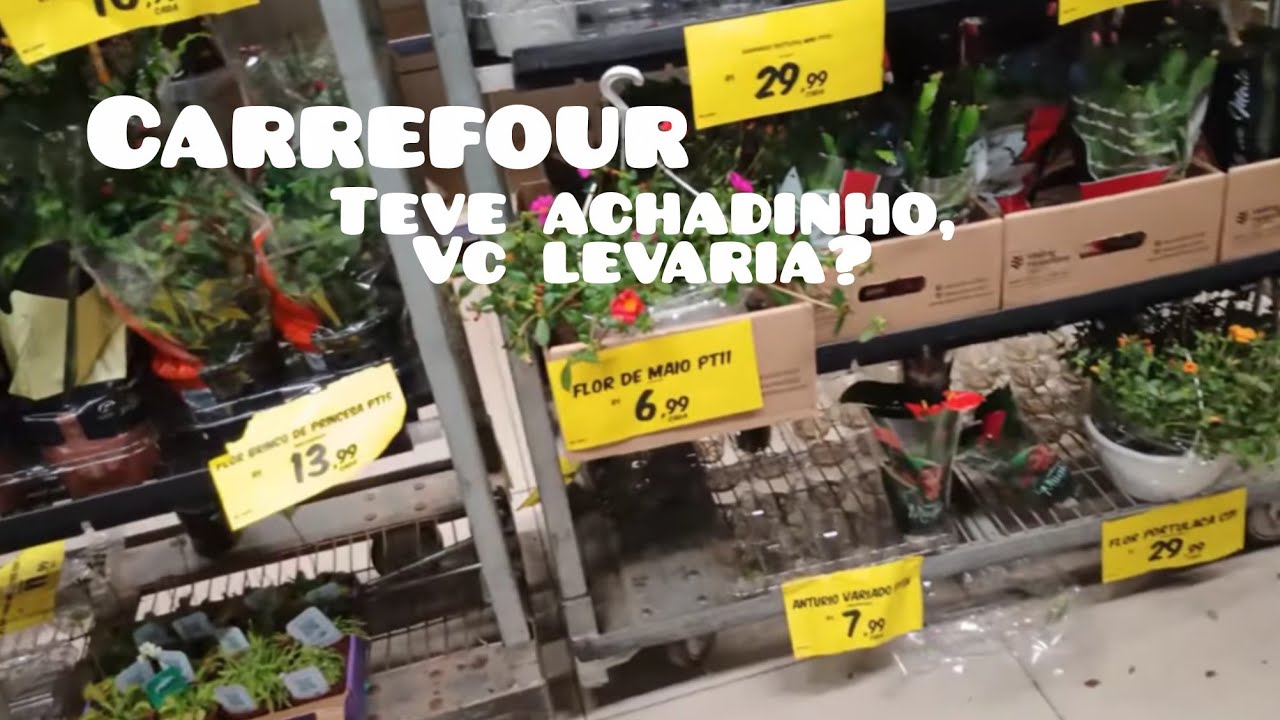 Fui ao Carrefour. Teve achadinho de planta!!!