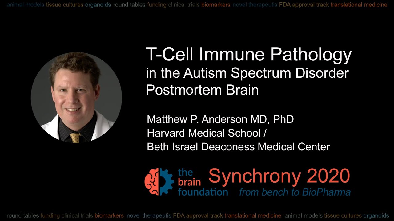 T-Cell Immune Pathology in the Brain in ASD – M. Anderson MD, Harvard Medical School @Synchrony2020