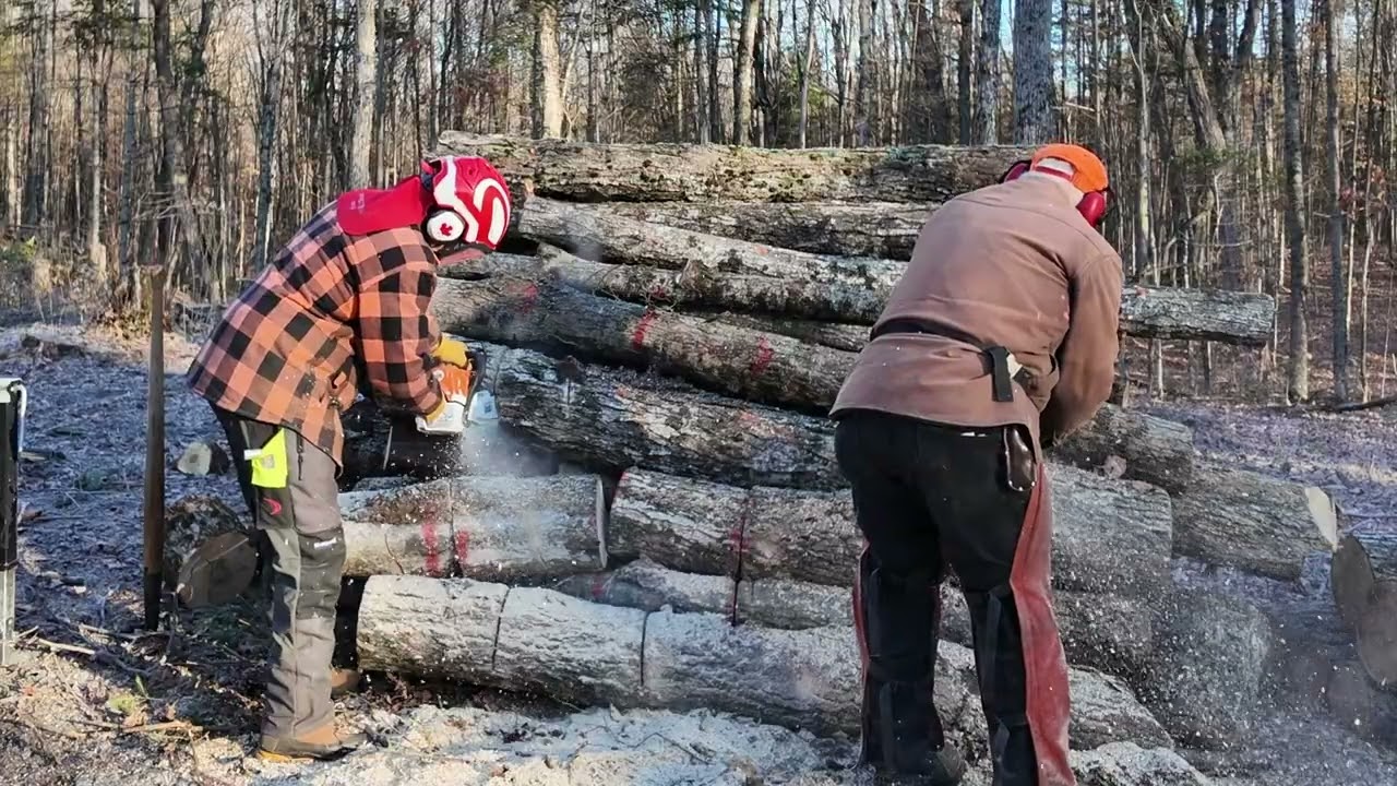 824 Frost. Not Good. Eastonmade AXIS Wood Splitter. Firewood   4K