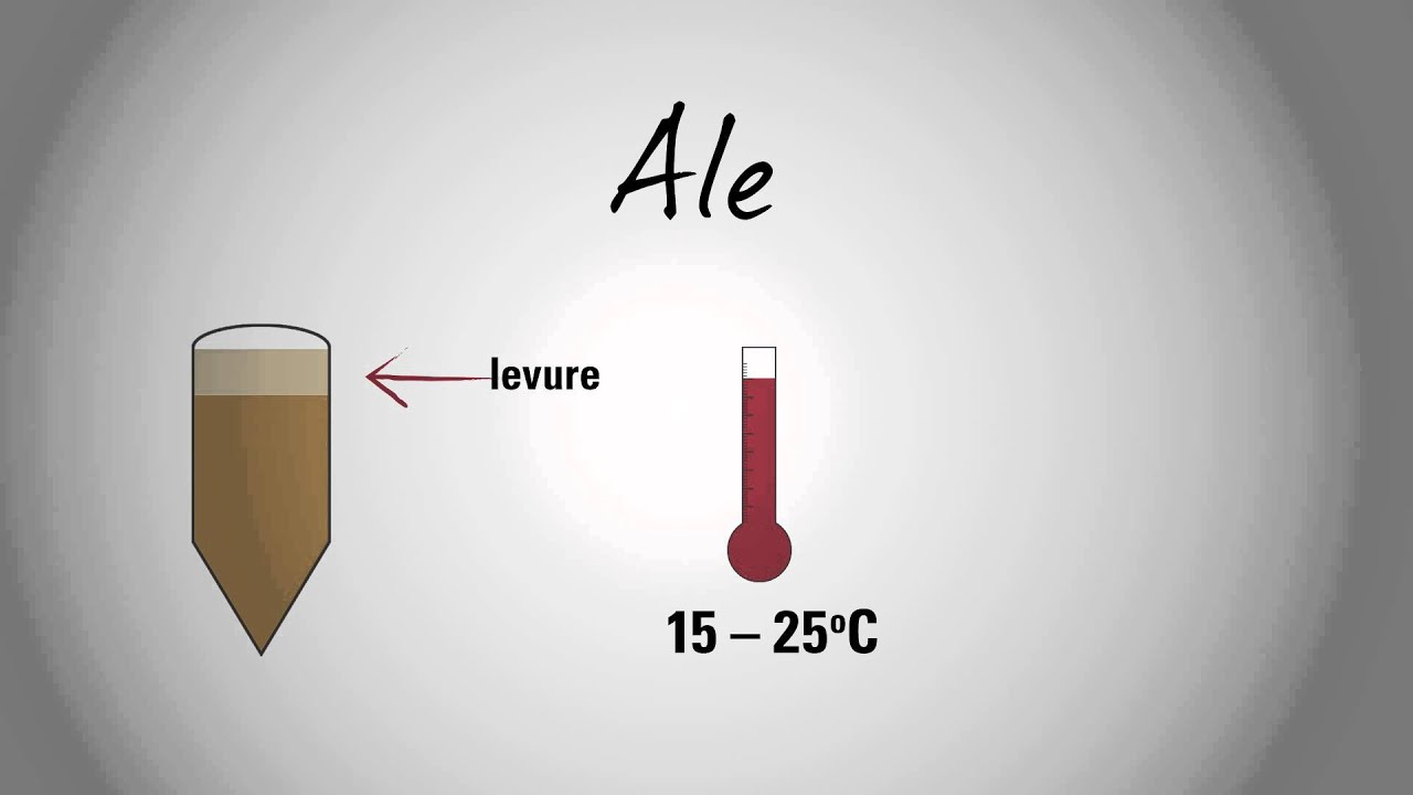 Le Fridge #1 - Les trois familles de bières