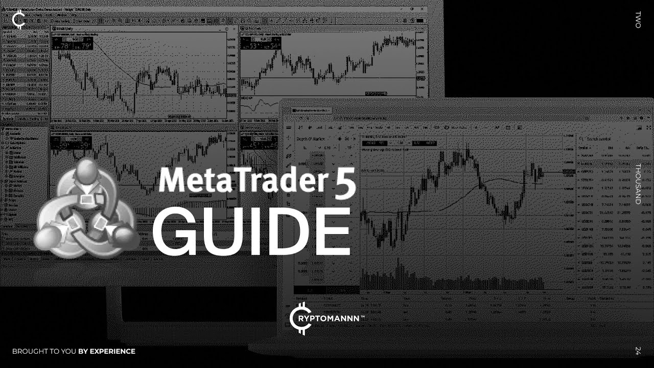 Гайд по использованию торгового терминала MetaTrader 5