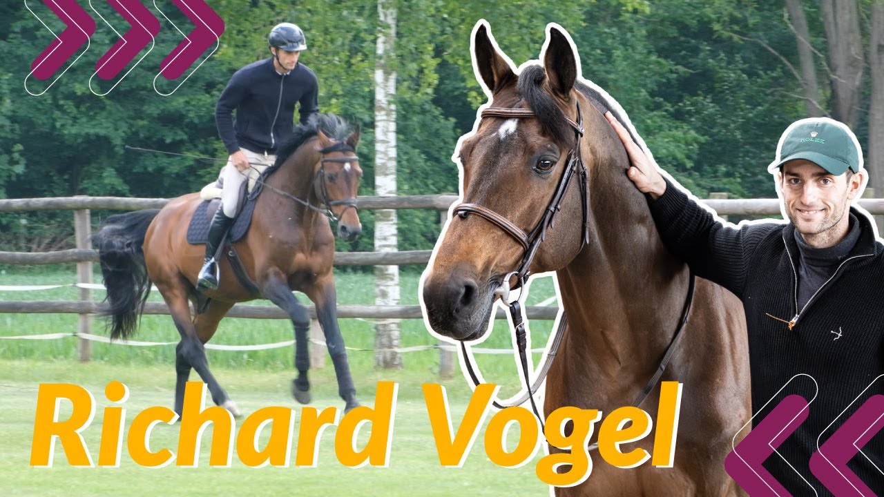 Traumhaft: So lebt Starpferd United Touch S! 😍 Große Gefühle in Aachen 😢 Im Stall mit Richard Vogel