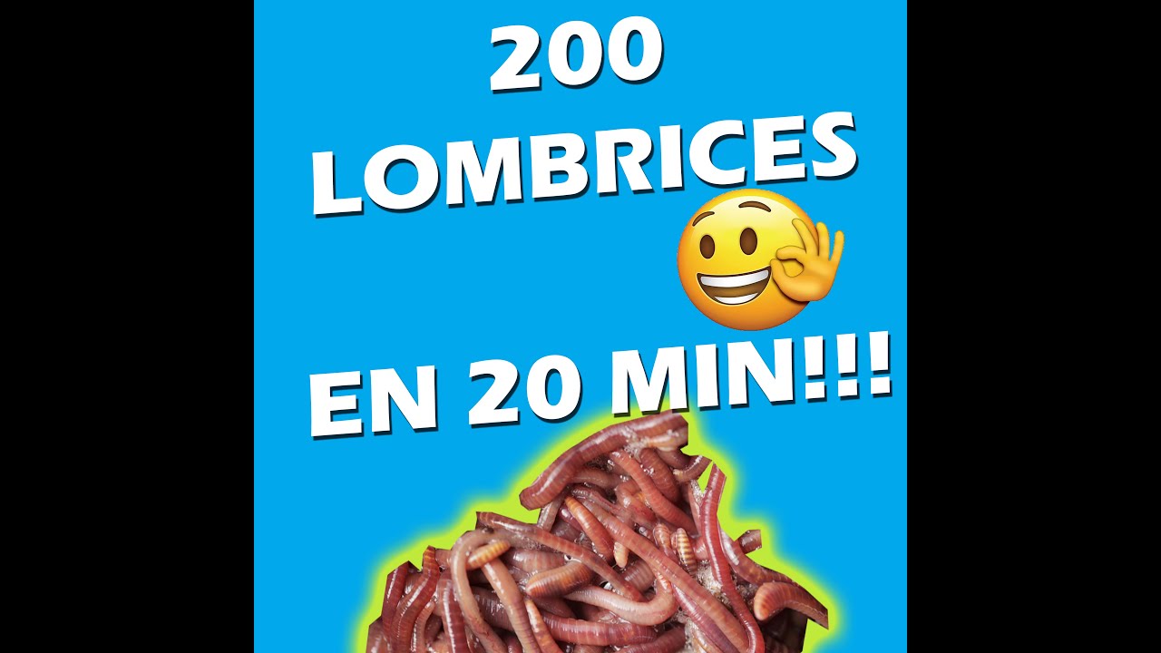 COMO OBTENER 200 LOMBRICES EN 20 MINUTOS