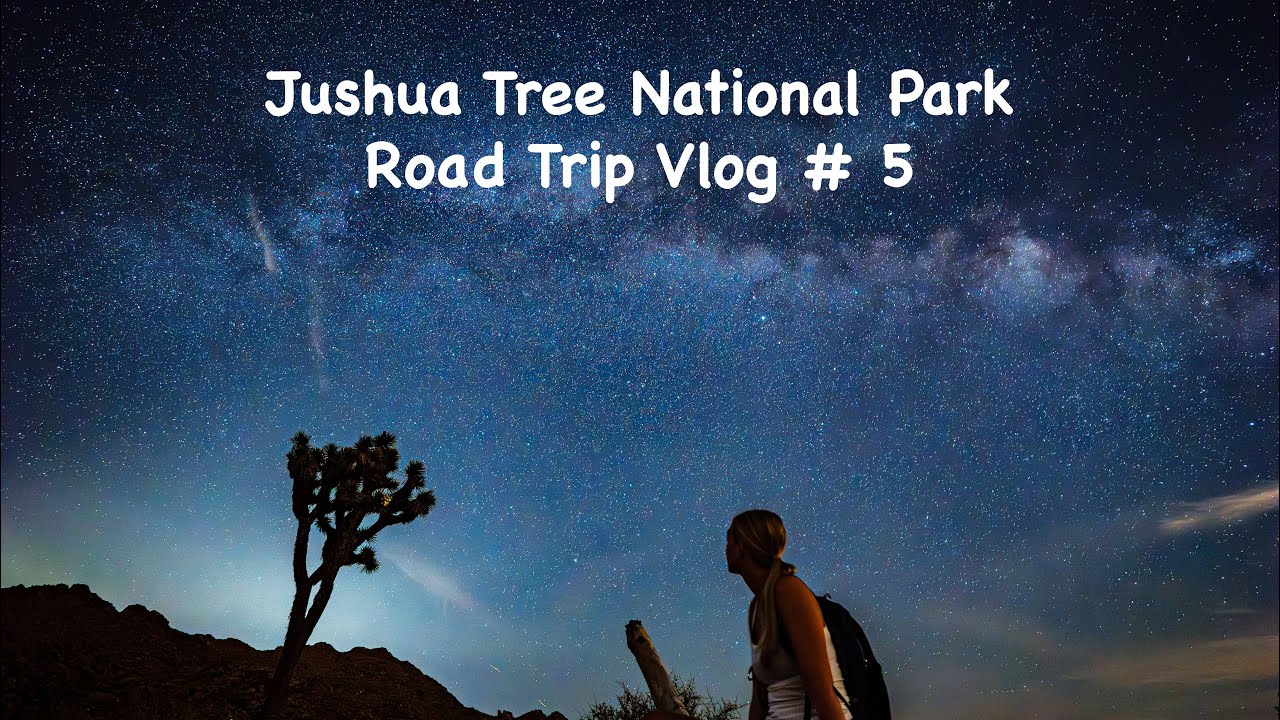 Joshua Tree National Park - Road Trip USA Westküste 2023 Vlog 5
