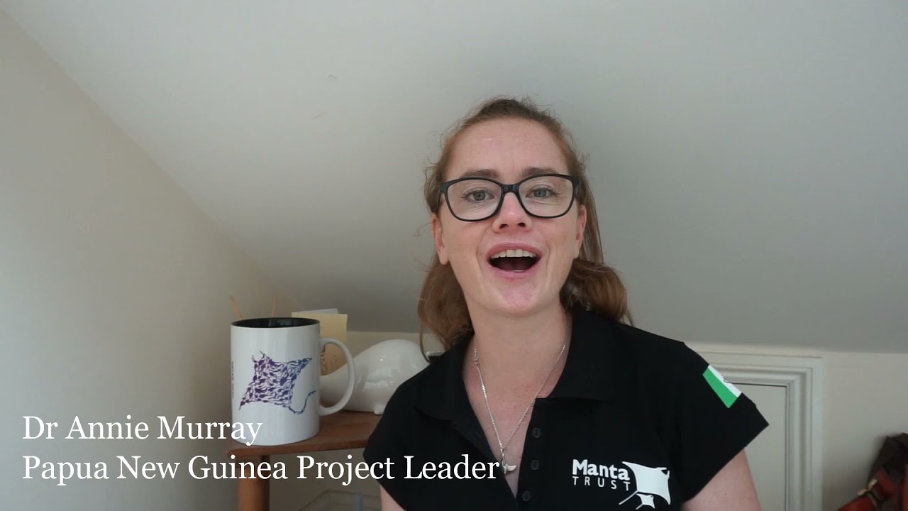Papua New Guinea Scoping Project Update