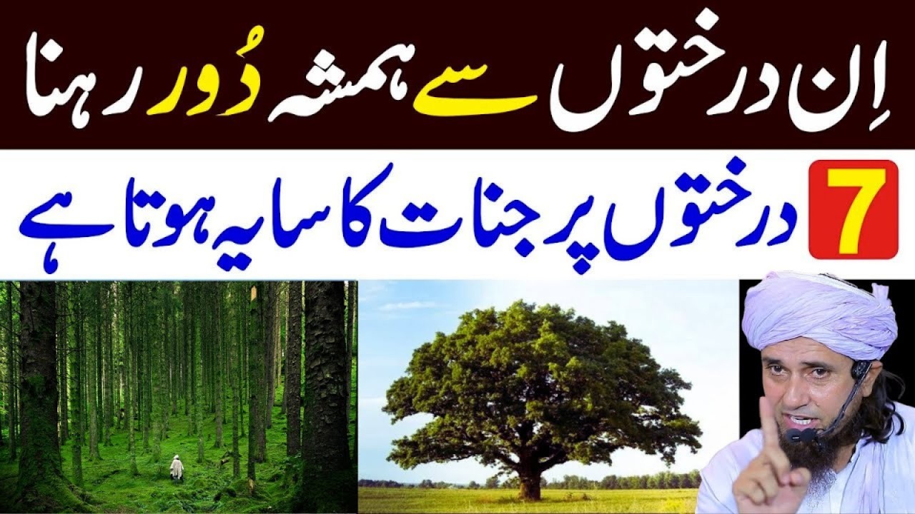 Jin Kin Jagahon Par Rehte Hain? Hairan Karne Wali Haqeeqat | Mufti Tariq Masood