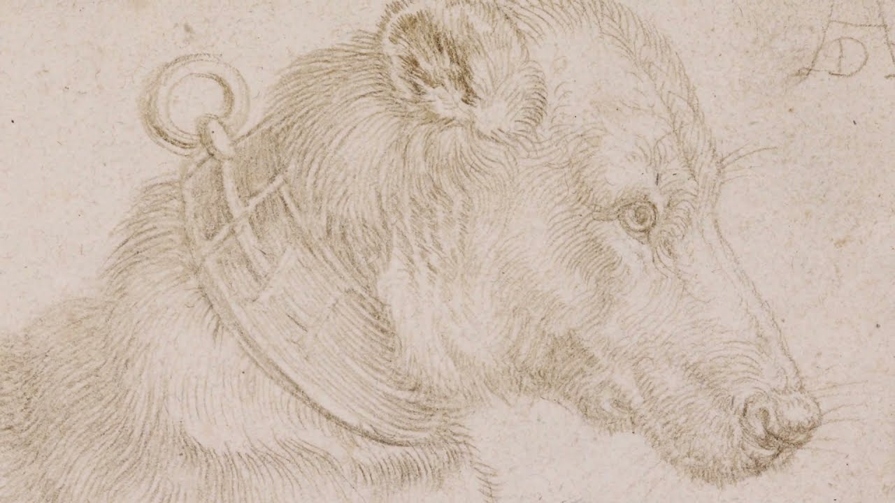 Metalpoint Drawing from Leonardo to Jasper Johns