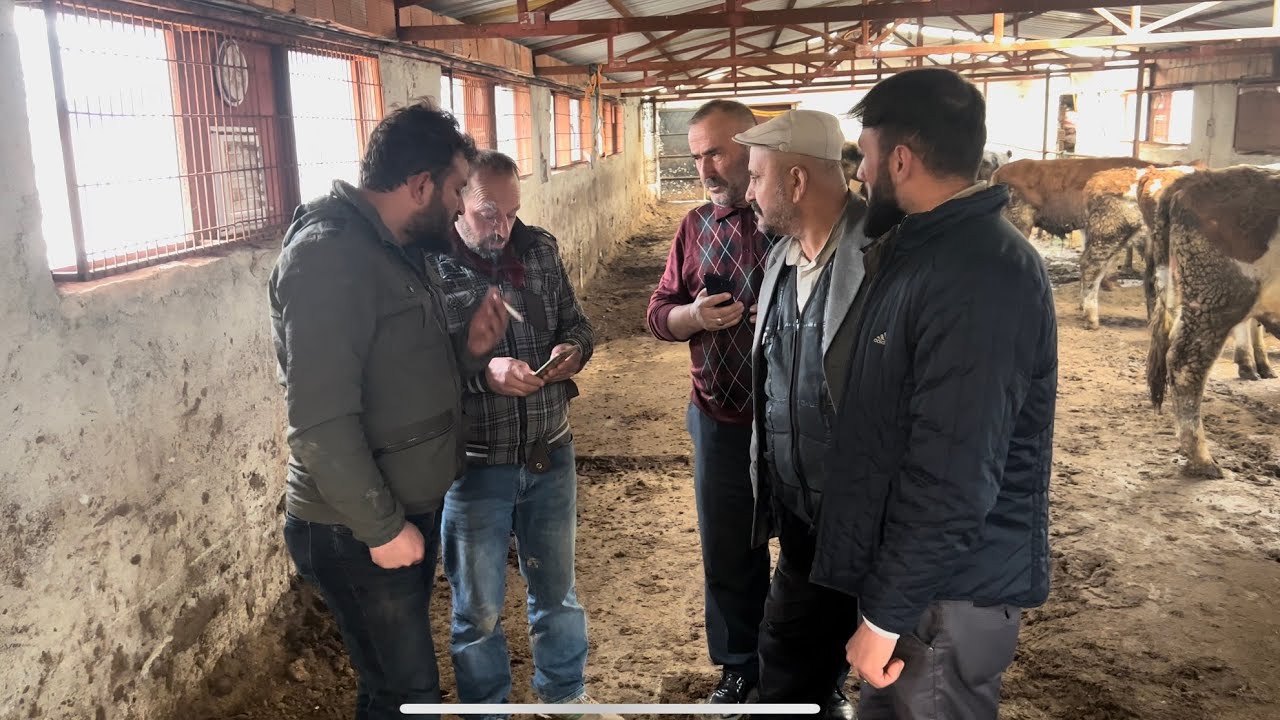 SERT GEÇEN HAYVAN PAZARLIĞI