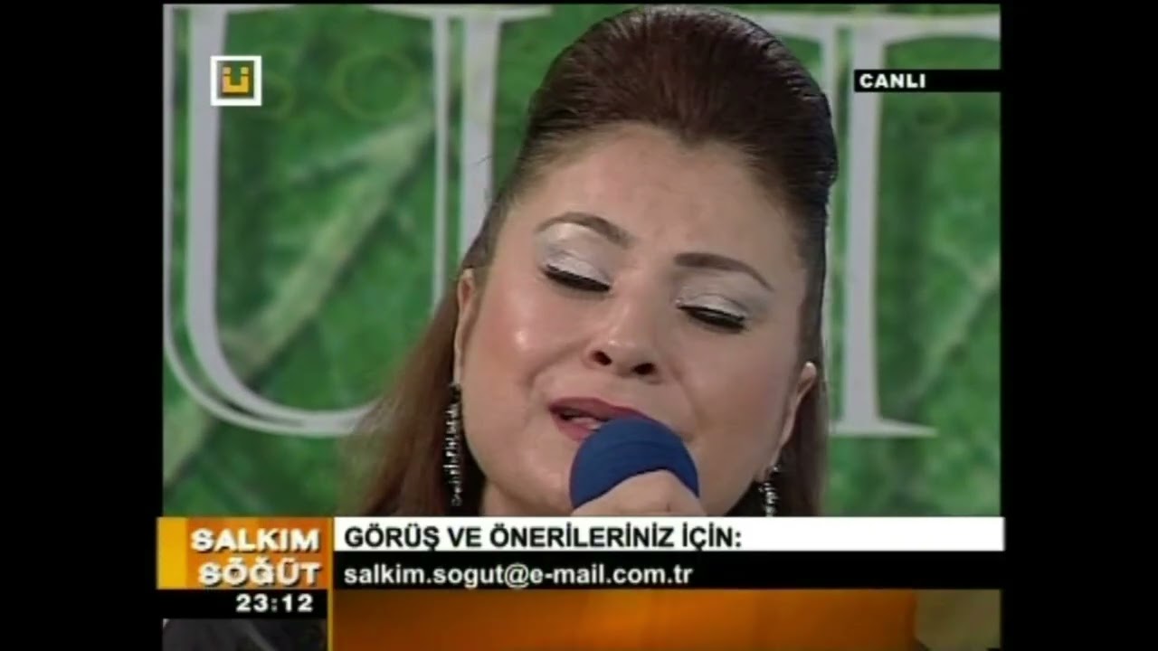 YILDIZ ÇAM - YEŞİL YAPRAK ARASINDA