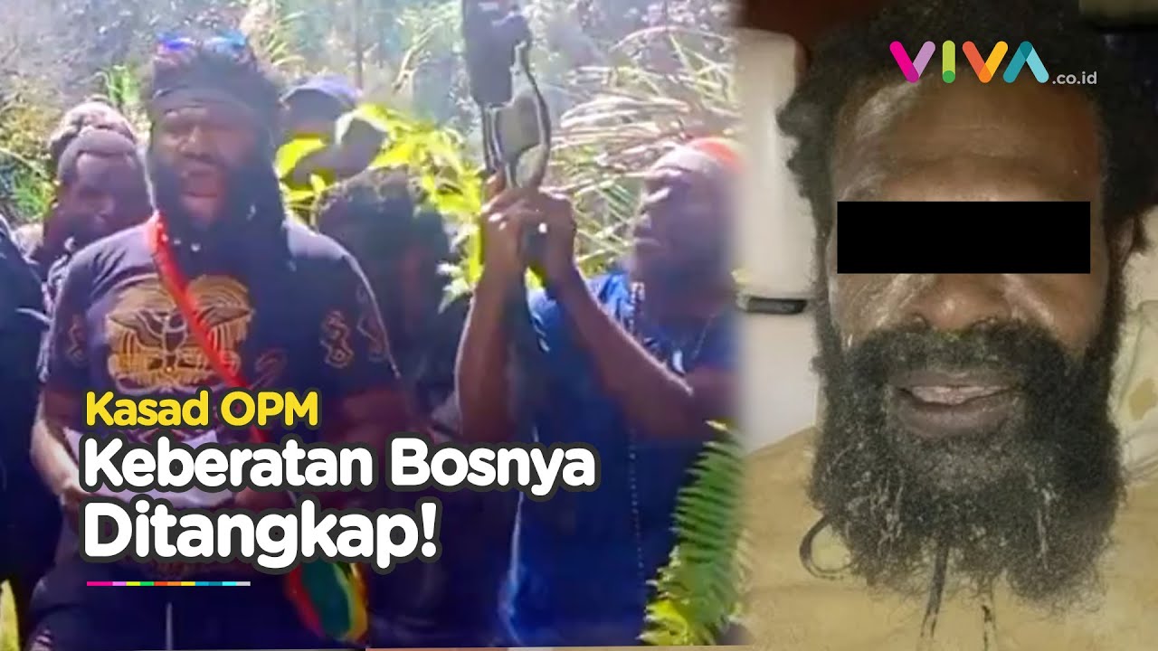 Bos OPM Wilayah Dokoge Paniai Ditangkap! Kasad OPM Gugup Sampaikan Keberetan