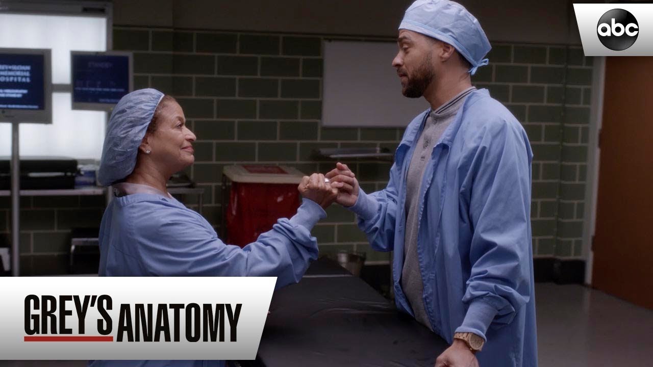 Catherine and Jackson - Grey's Anatomy Season 15 Episode 11