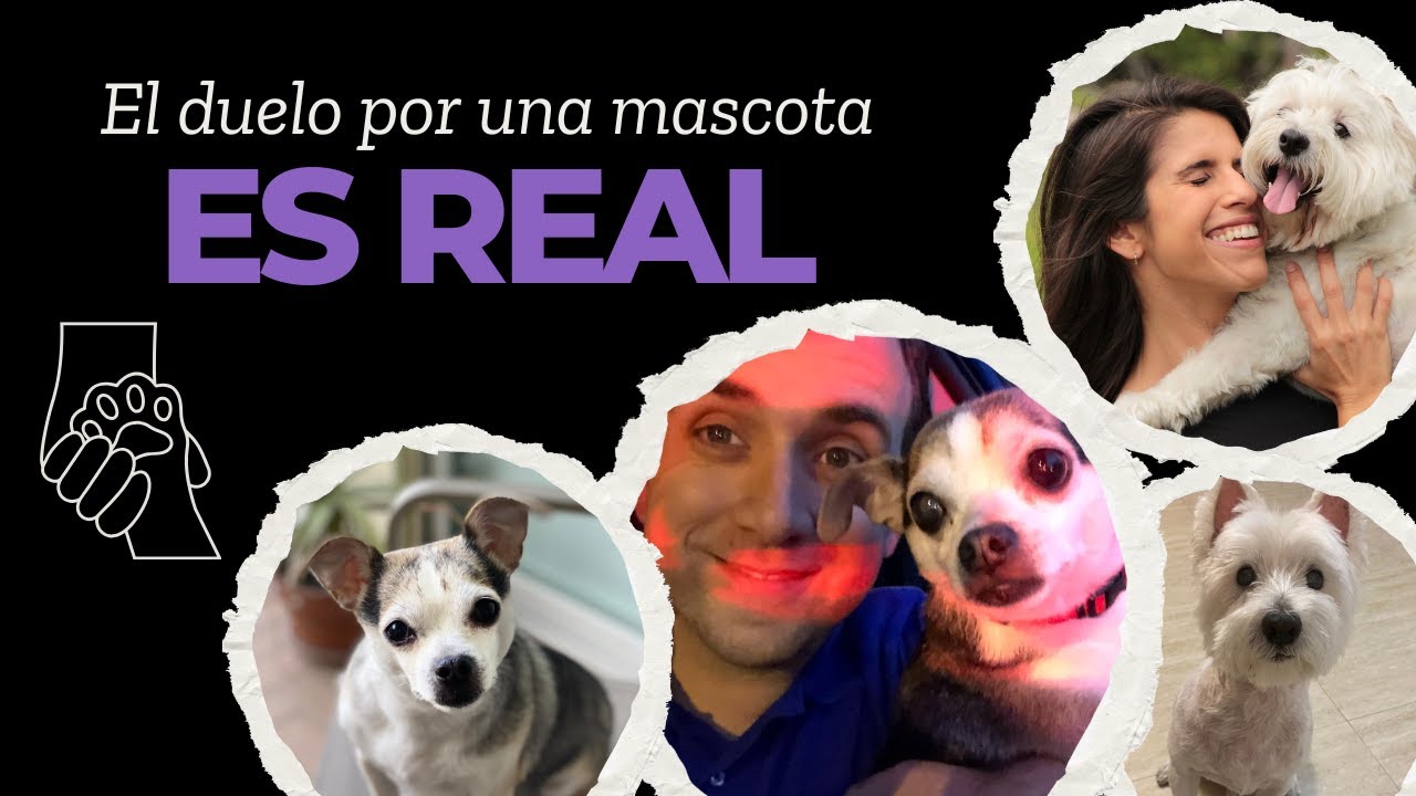 El duelo invisible: Sanando la pérdida de una mascota con Mauricio Ginestra La Grandeza De Tu Sombra