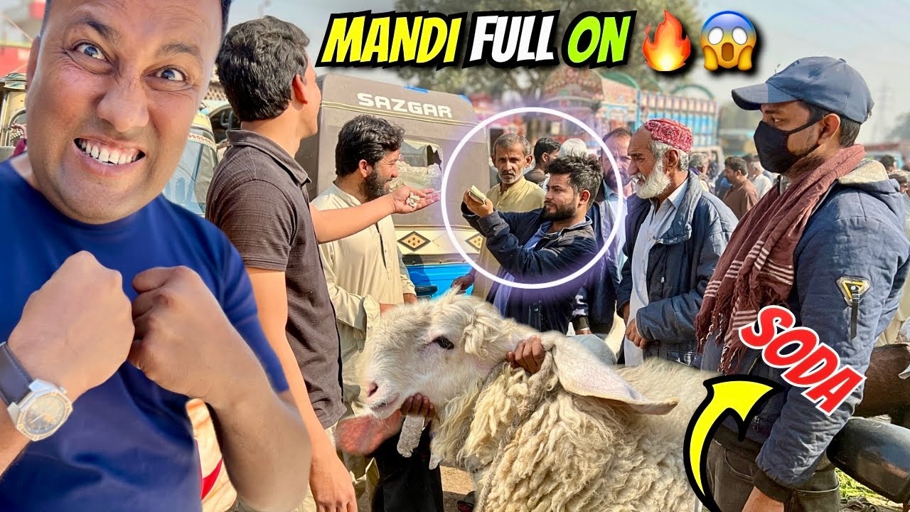 Bhains Colony Bakra Mandi 😱 | 14 January 2026 Latest Rates – Har Taraf Sirf Soday Hi Soday 🐐🔥