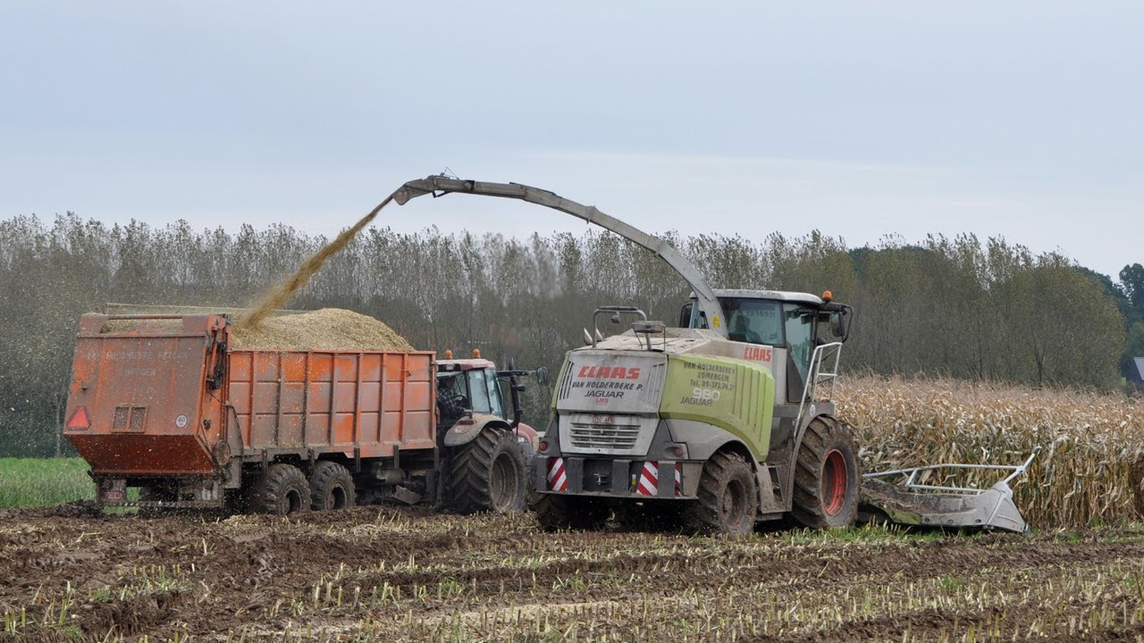 Mais hakselen 2010 - Loonwerk Patrick Van Holderbeke - Claas Jaguar 980