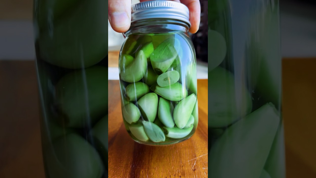 Blue/Green Pickled Garlic