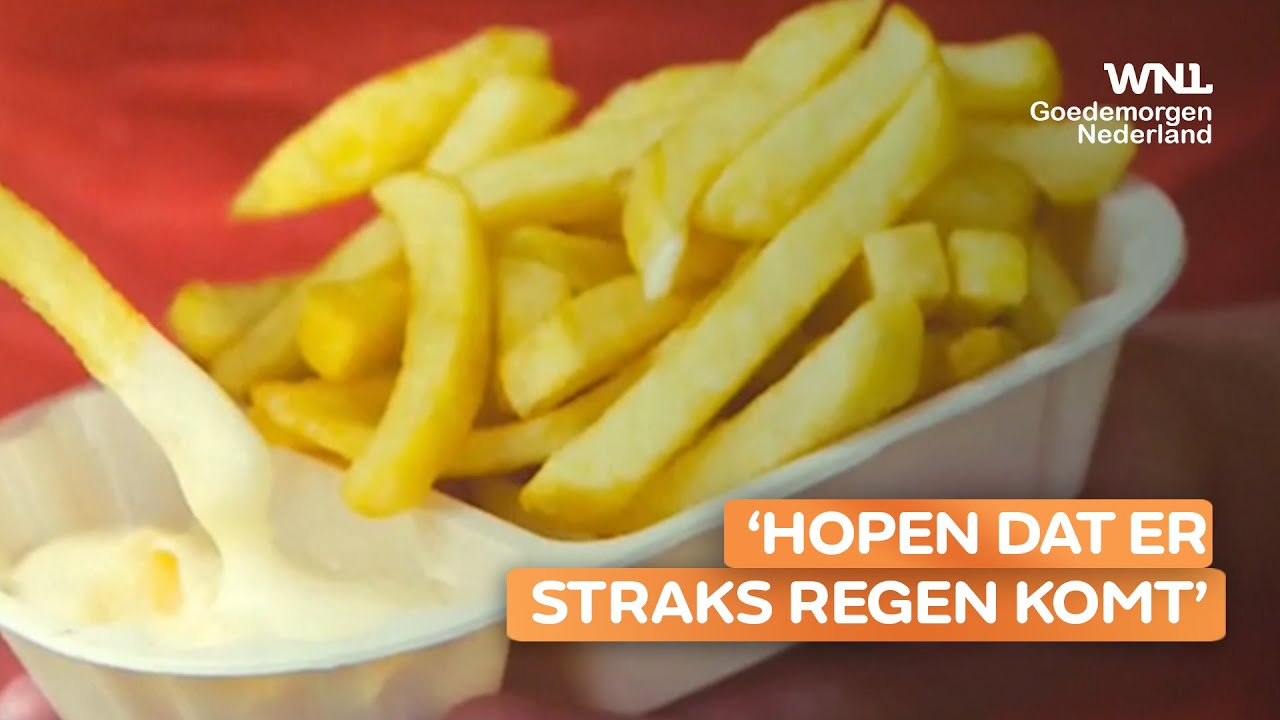 Lekker weer heeft invloed op de grootte van onze friet: &lsquo;Groei stagneert als het zo droog blijft&rsquo;
