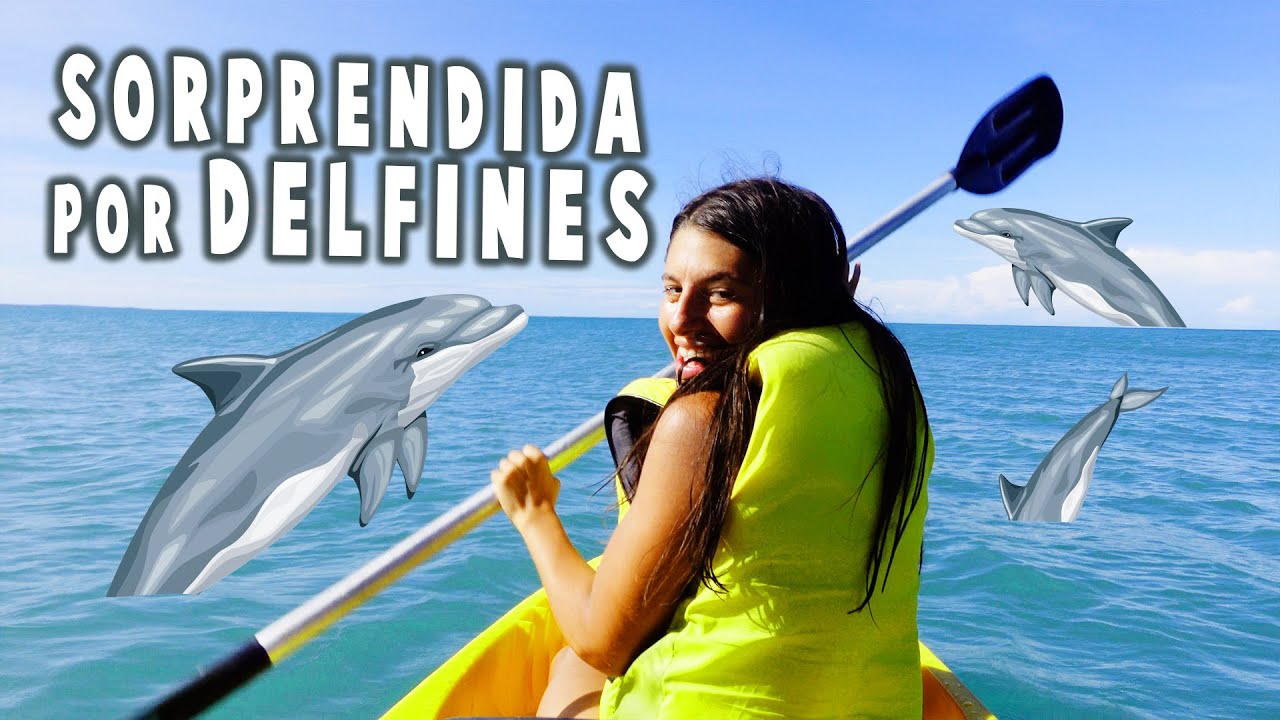 DELFINES🐬 a tres metros 😱| Nos enamoramos 💚de PIPA, Brasil