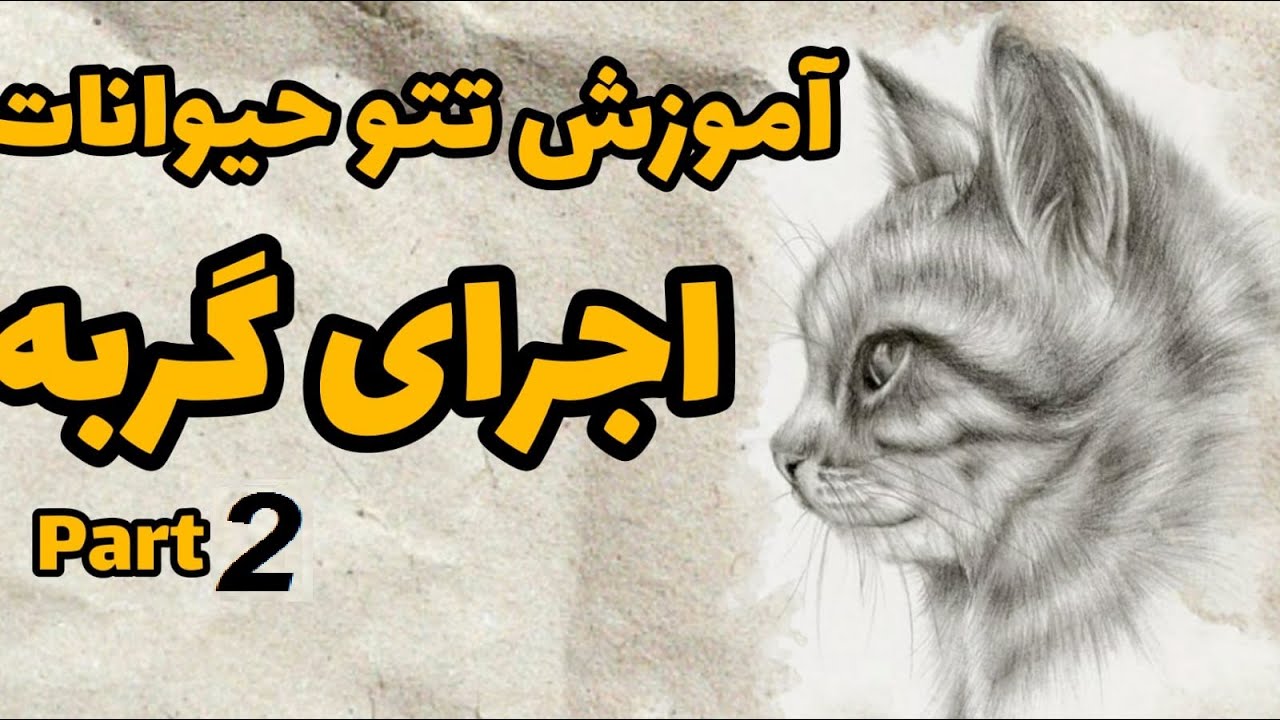 آموزش اجرای موی حیوانات