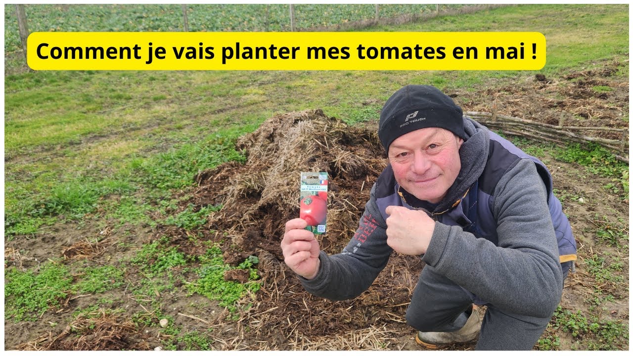 Live du 3 février 5 h du matin !