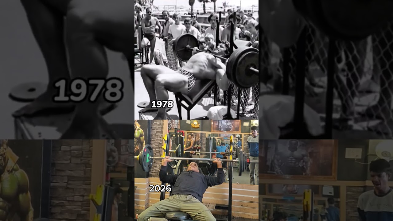 incline bench in 2026 