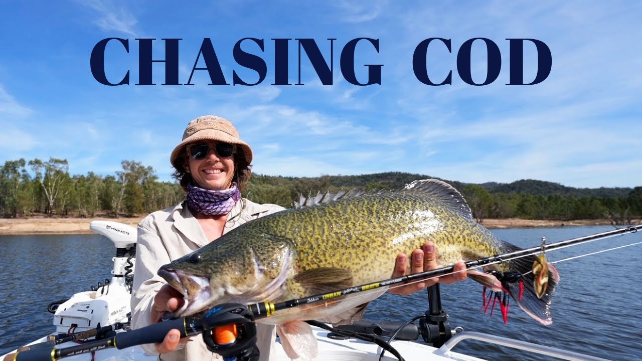 MURRAY COD FISHING -  Victoria to NSW via the Murray River, Wyangala Dam & Rocklands Reservoir