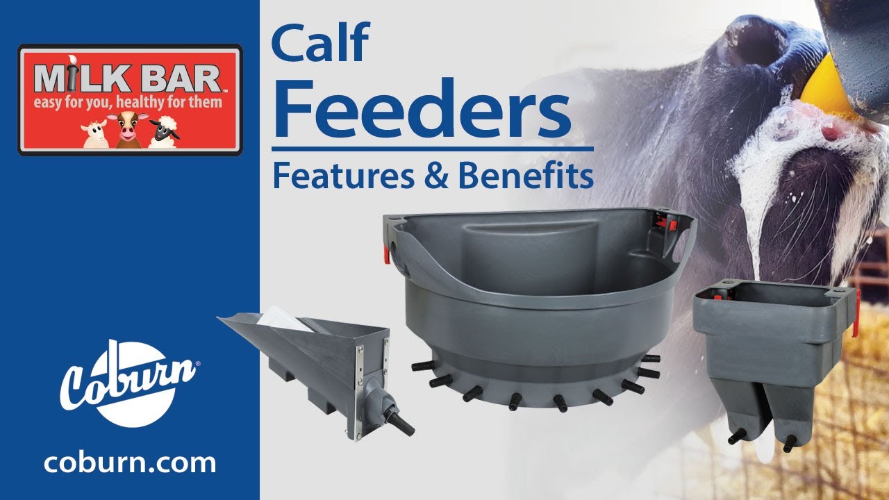 Health Benefits of Milk Bar Calf Feeders
