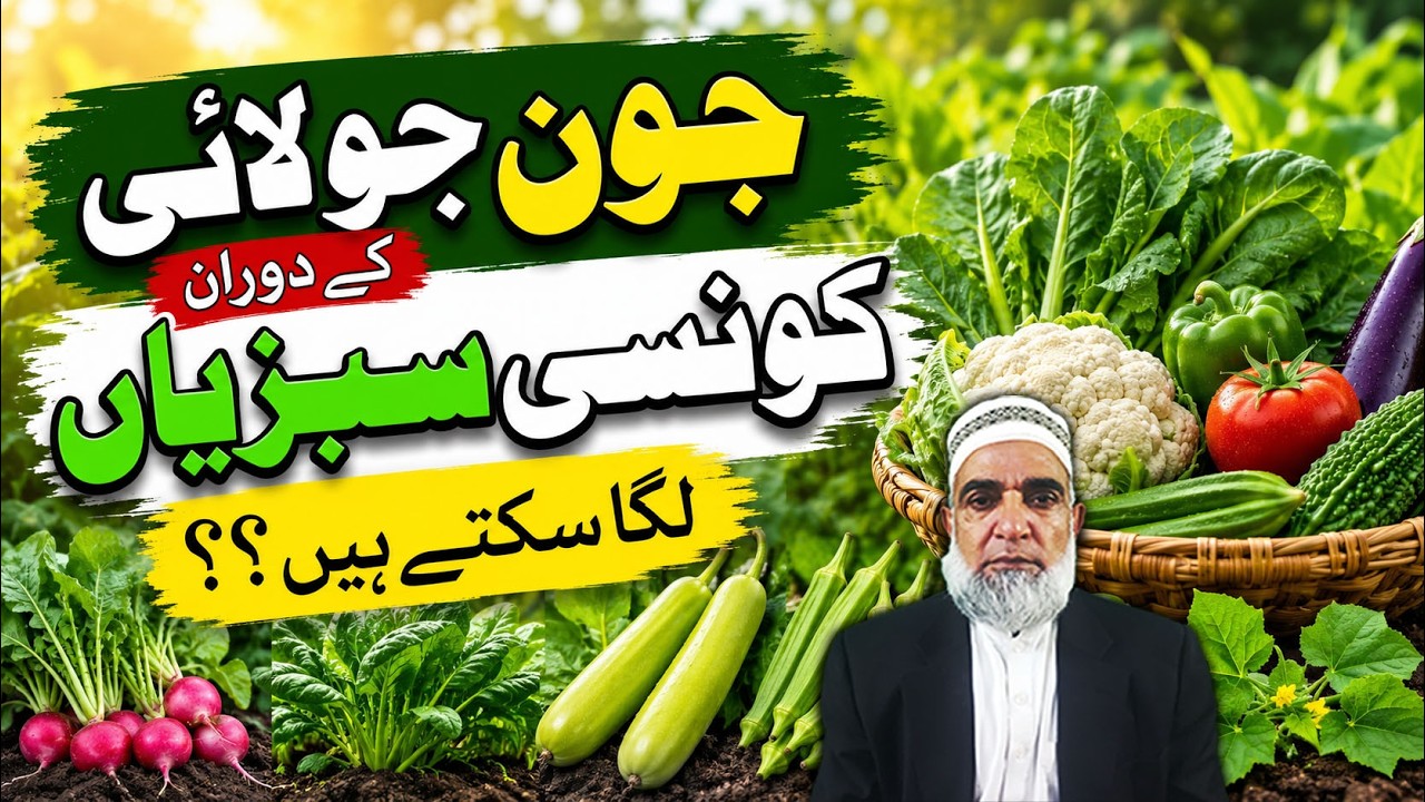 Which of Vegetables Can when Be Planted in June and July || Crop Reformer