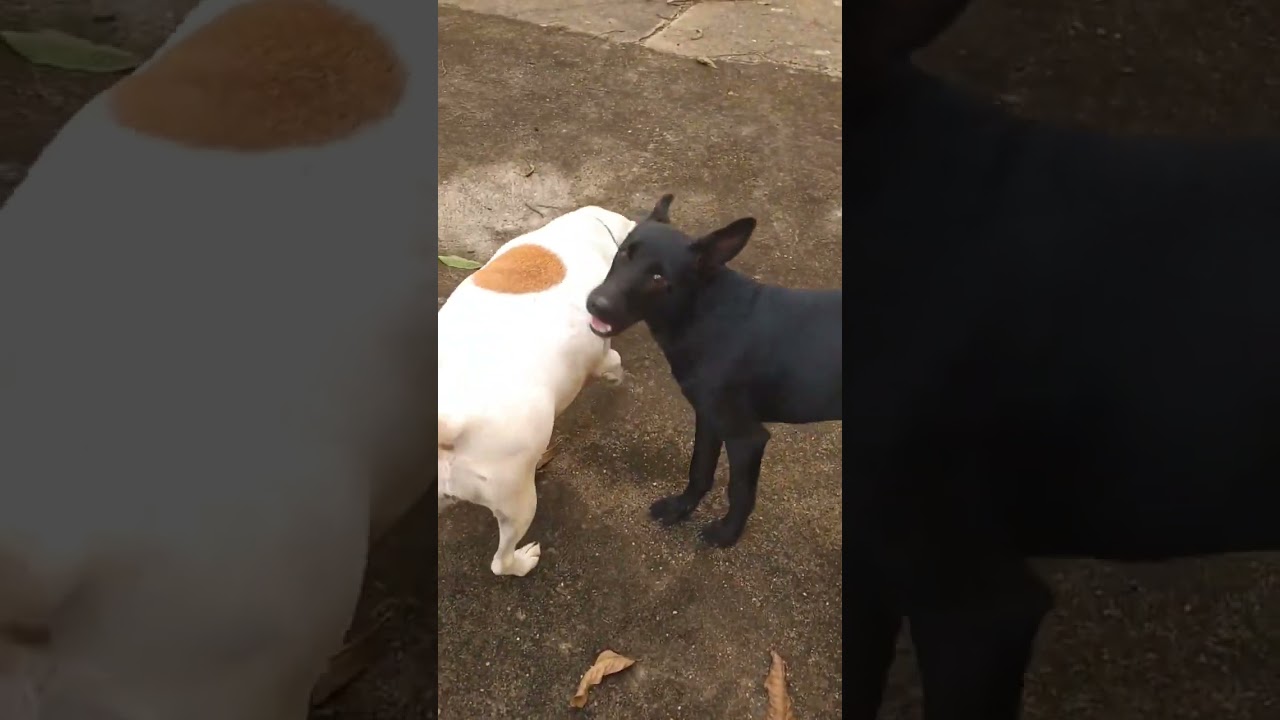 14 de fevereiro de 2026