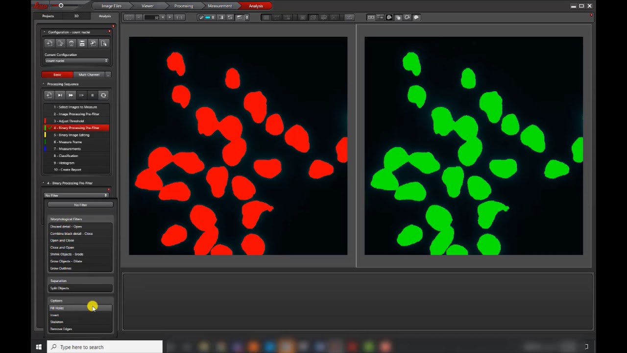 Introduction to LAS X Image Analysis (3D)