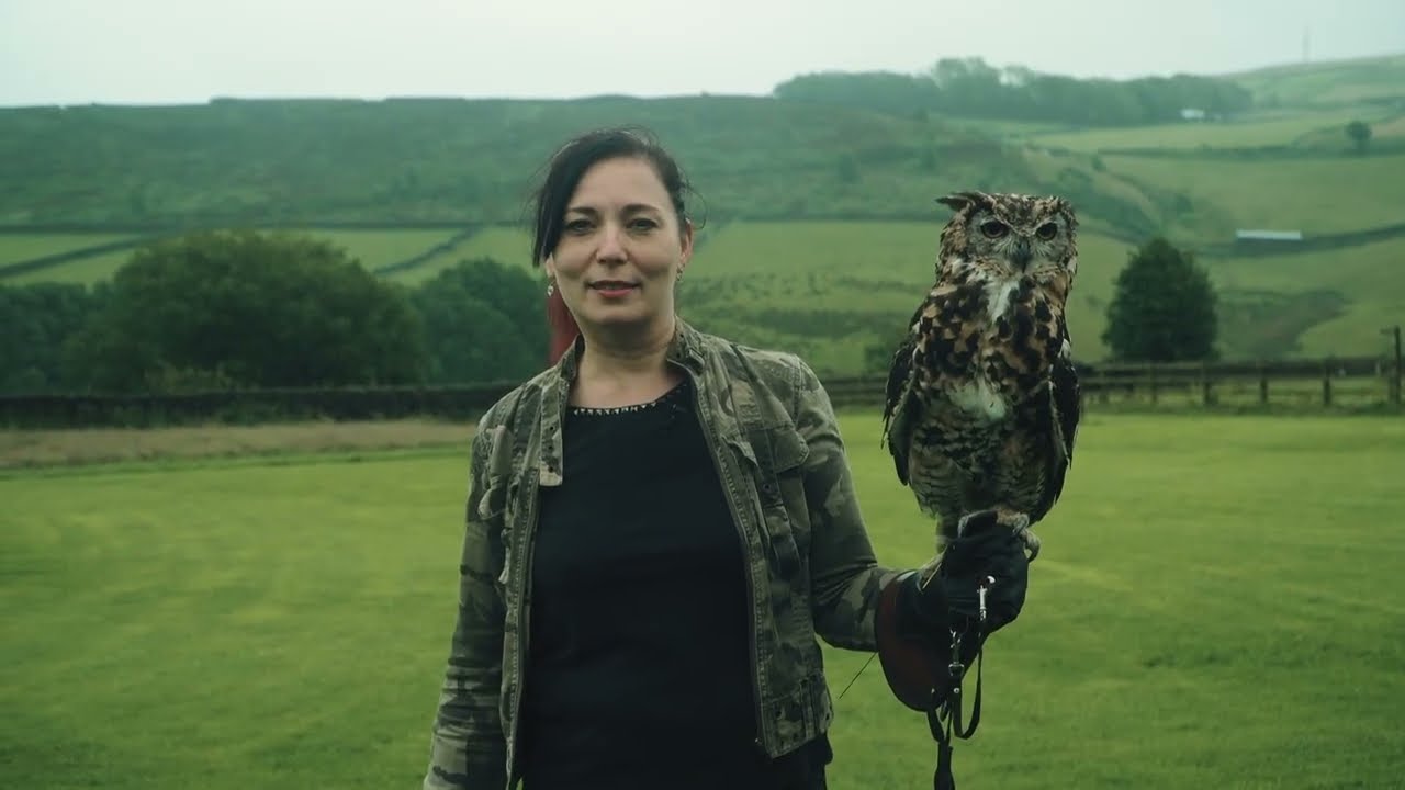 Owls and fantasy