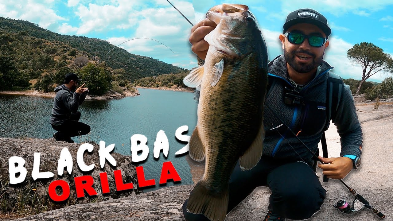 Pescando Black Bass desde ORILLA