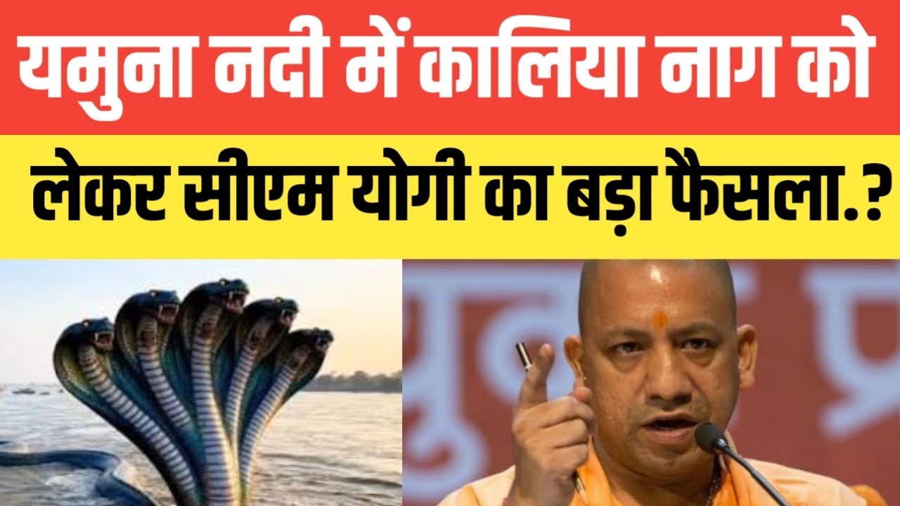मथुरा वृंदावन के यमुना नदी में कालिया नाग को लेकर सीएम योगी का बड़ा फैसला.? सच्चाई सुनकर आपके होश..