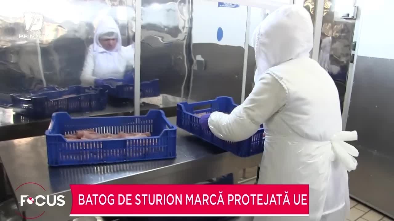 Batog de sturion marcă protejată de UE