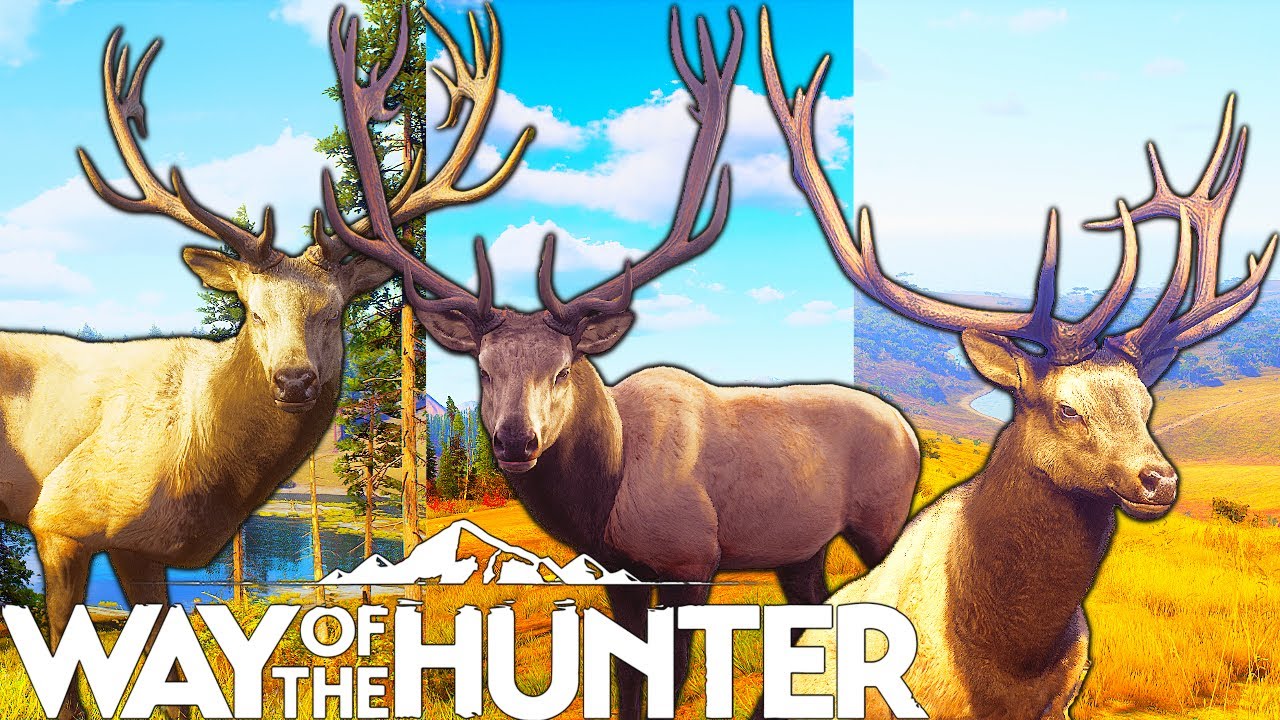 Three Maps Three Five Star Elk | Way of the Hunter