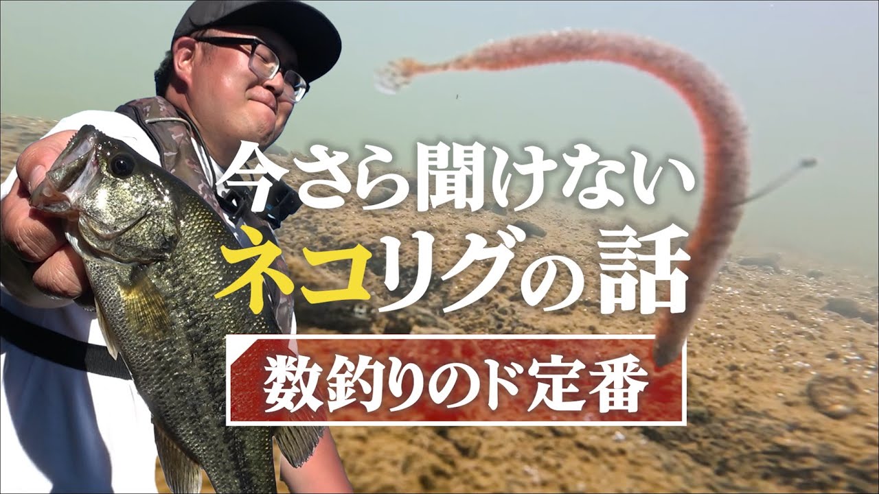 【ネコリグ講座】フックの位置だけでもかなり違う！-数釣りのド定番！-
