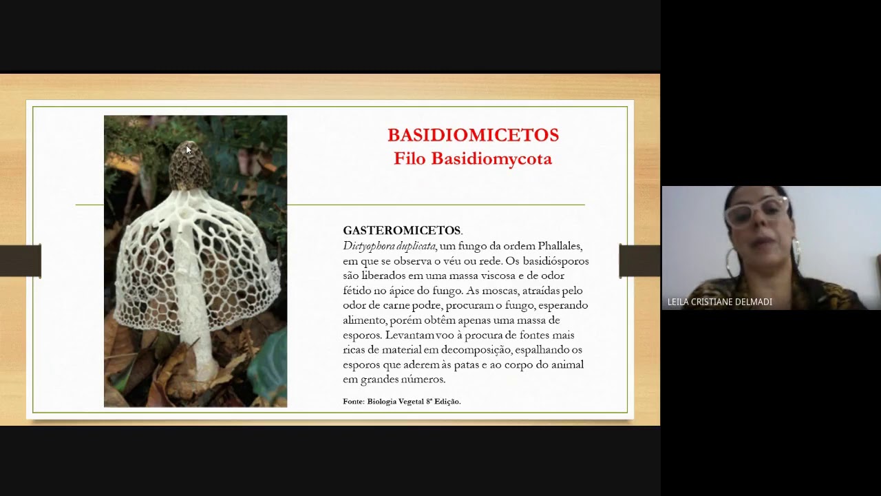 Aula 5 - Fungos - BASIDIOMICETOS